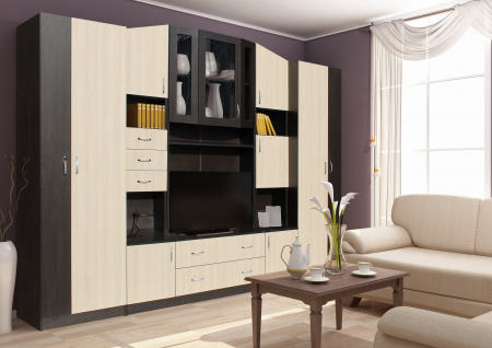MOBILIER LIVING - Living Macarena 290x51x196cm, wenge/mesteacan