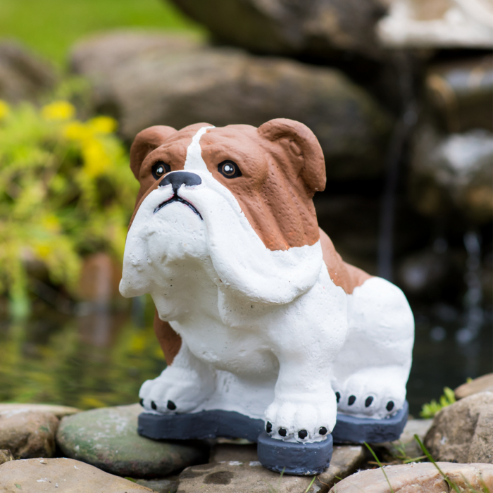 Bulldog din beton, alb-maro, decoratiune gradina, 23x28x17cm [4]
