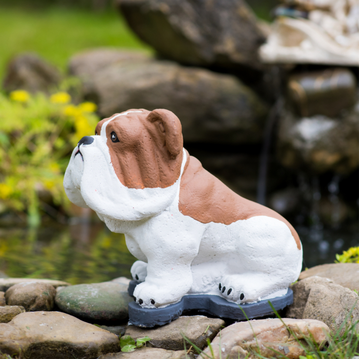Bulldog din beton, alb-maro, decoratiune gradina, 23x28x17cm [3]