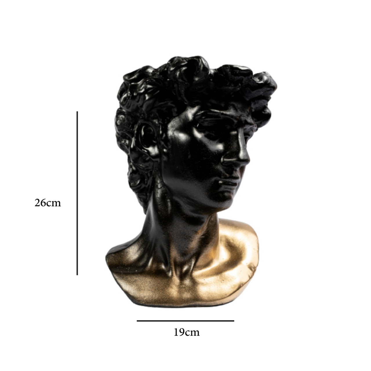 Vaza David, negru-auriu, 26x19x19 cm [5]