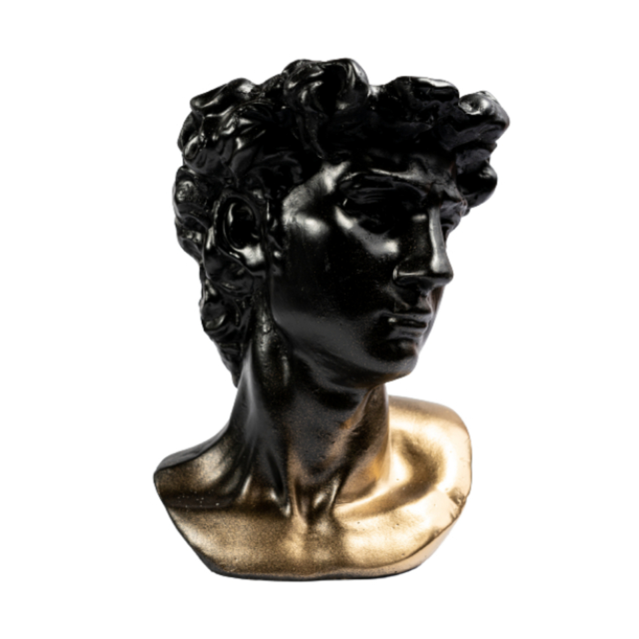 Vaza David, negru-auriu, 26x19x19 cm [1]
