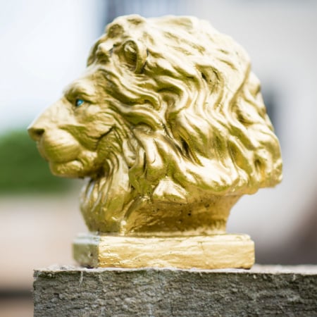 Cap leu auriu, beton, pentru stalpii de la gard, 23x23x21cm [2]