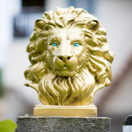 Cap leu auriu, beton, pentru stalpii de la gard, 35x33x27cm [3]