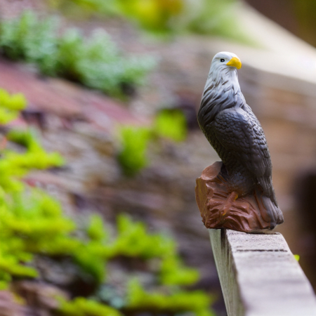 Vultur din beton, pentru exterior, 58x30x25cm [1]