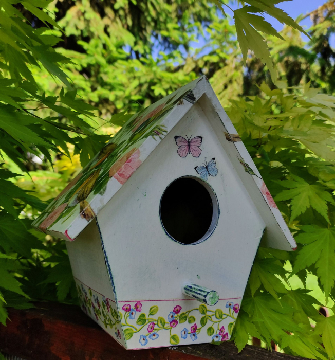 Căsuța pentru păsări [3]