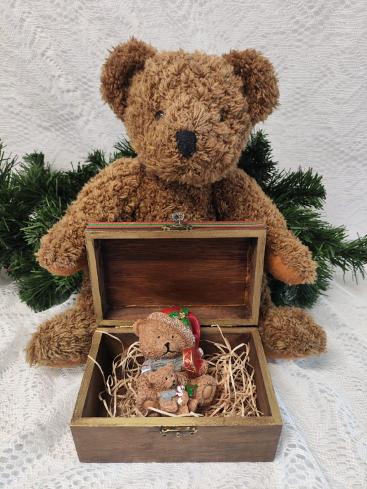 Cutie cu figurina Teddy [9]