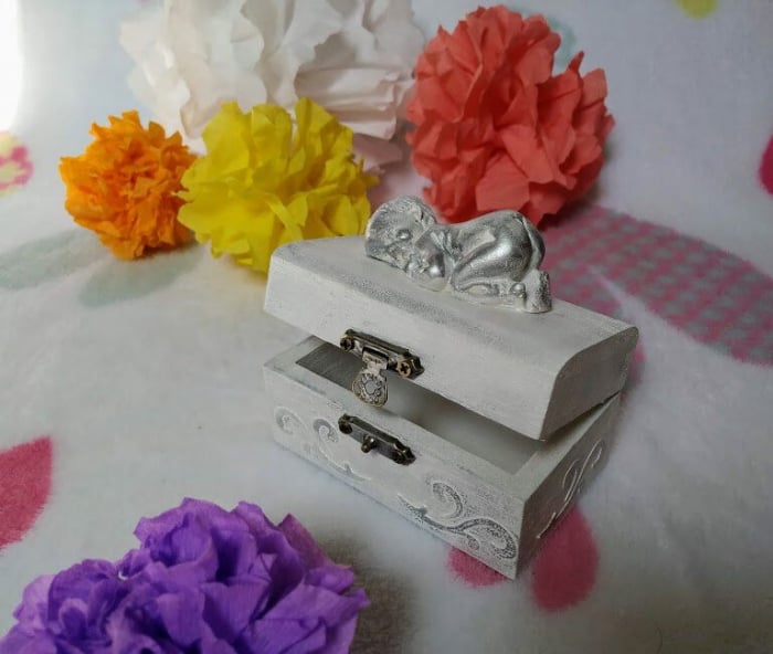 Cutie mot /turta 1 an [4]