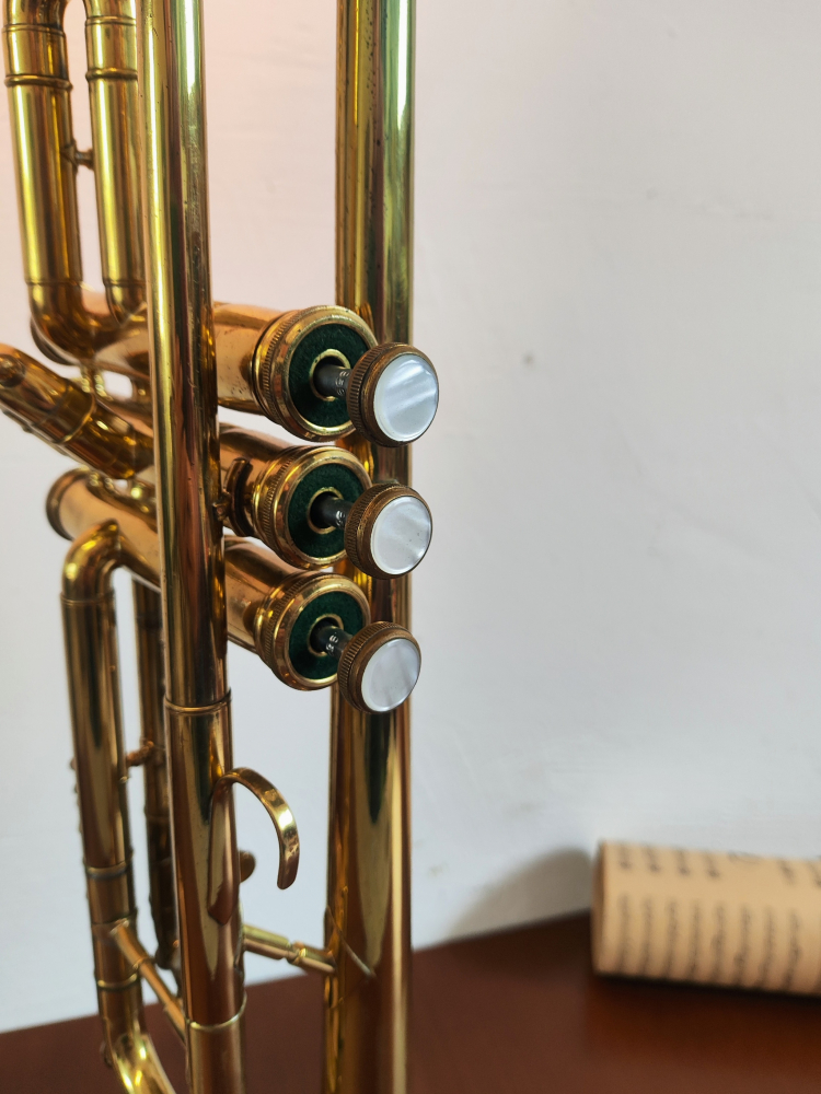 Corp de iluminat trompetă vintage [9]