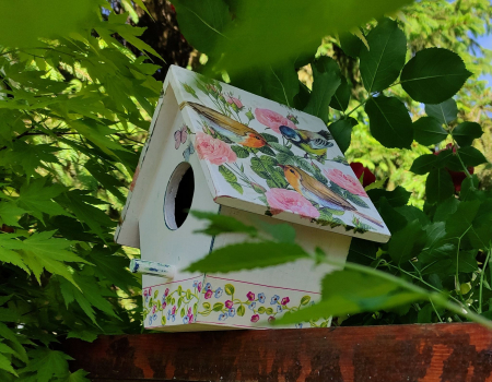 Decoratiuni casa - Căsuța pentru păsări