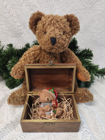 Cutie cu figurina Teddy [8]