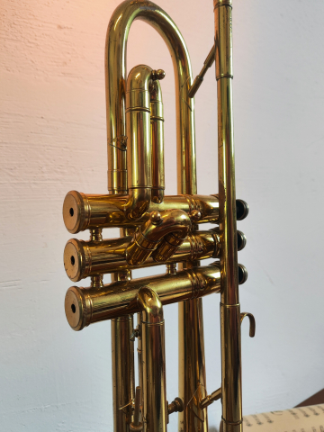 Corp de iluminat trompetă vintage [10]