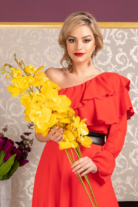 Rochie Erisa [9]