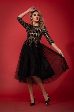 Rochii de seara - Rochie D74 Diamond