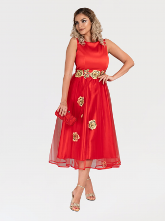 Rochii din saten - Rochie Tanis