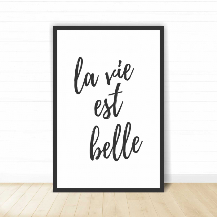 Set 3 tablouri cu ramă, "La vie est plus belle" [3]