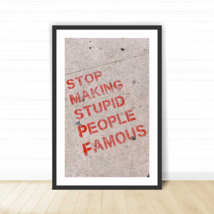 Set 3 tablouri cu ramă, "Stop making stupid people famous" [3]