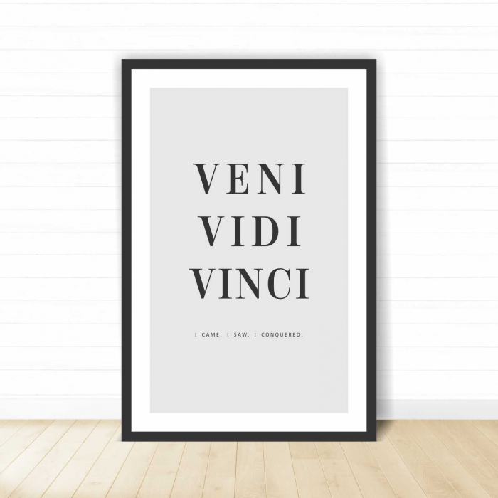 Set 3 tablouri cu ramă, "Veni, vidi, vinci" [4]