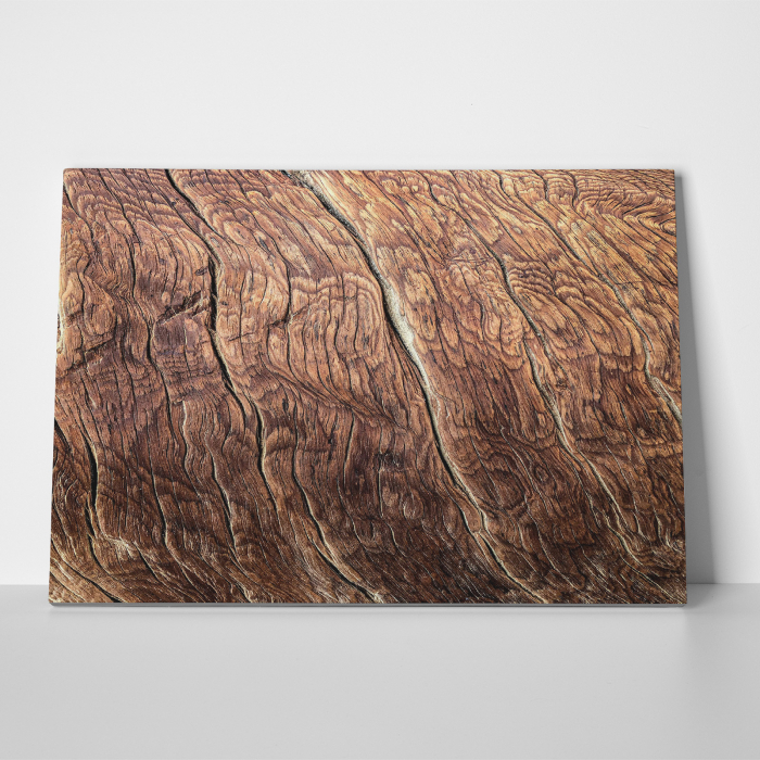 Tablou canvas abstract, Fibre de lemn [3]