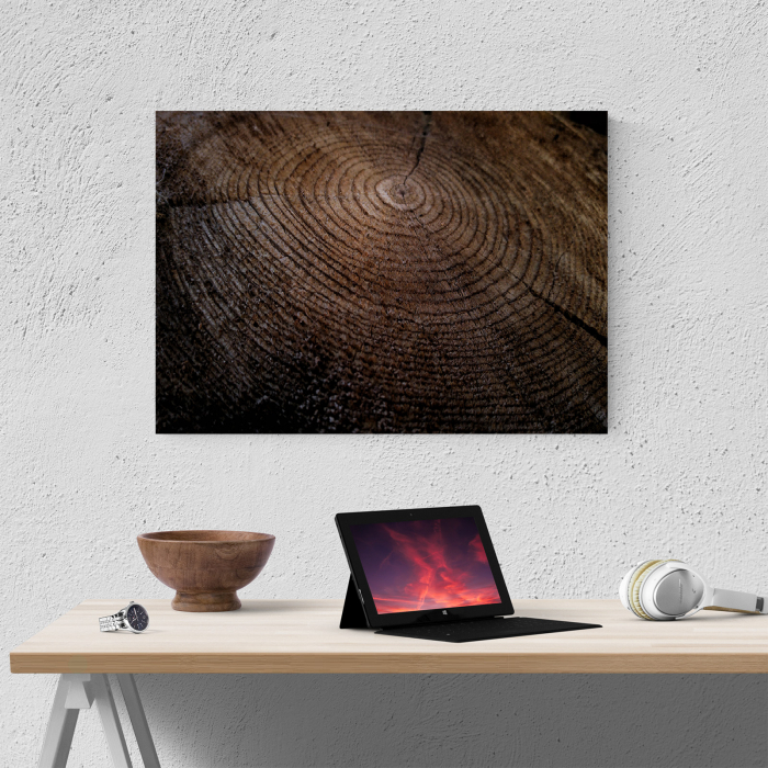 Tablou canvas abstract, Inele de... lemn [4]