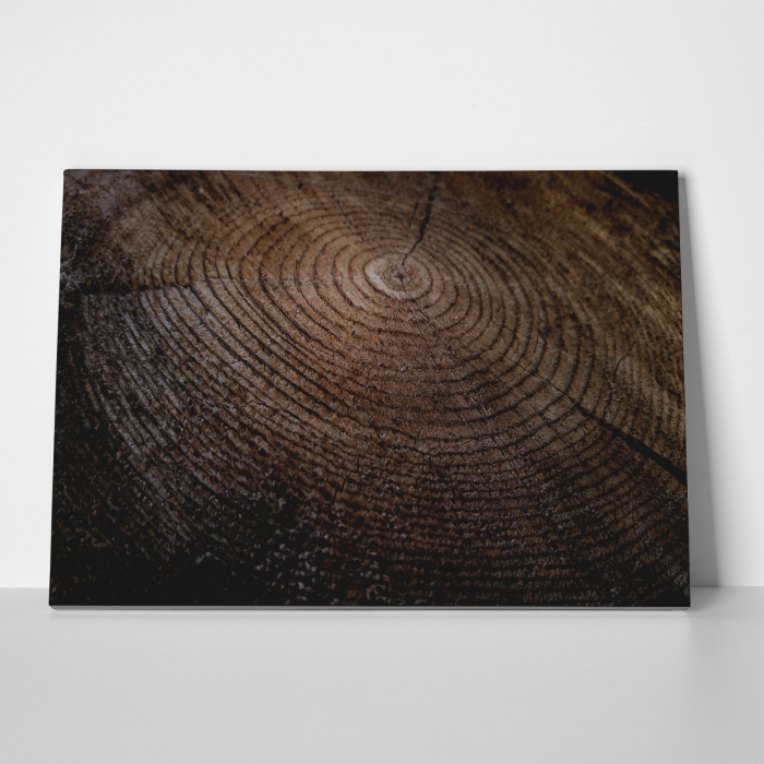Tablou canvas abstract, Inele de... lemn [3]