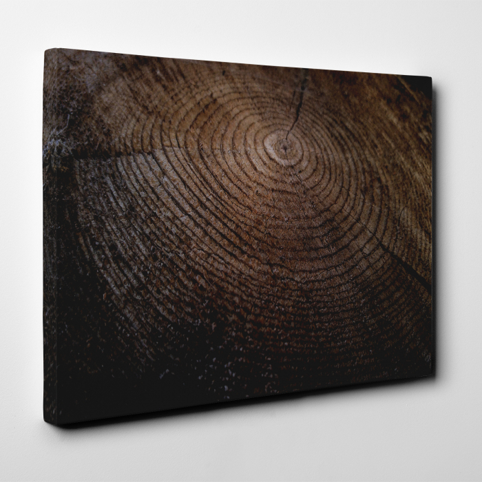 Tablou canvas abstract, Inele de... lemn [2]