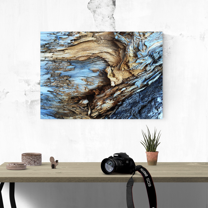 Tablou canvas abstract, Lemn albastrui putrezit [4]