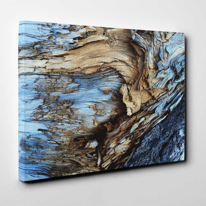 Tablou canvas abstract, Lemn albastrui putrezit [2]