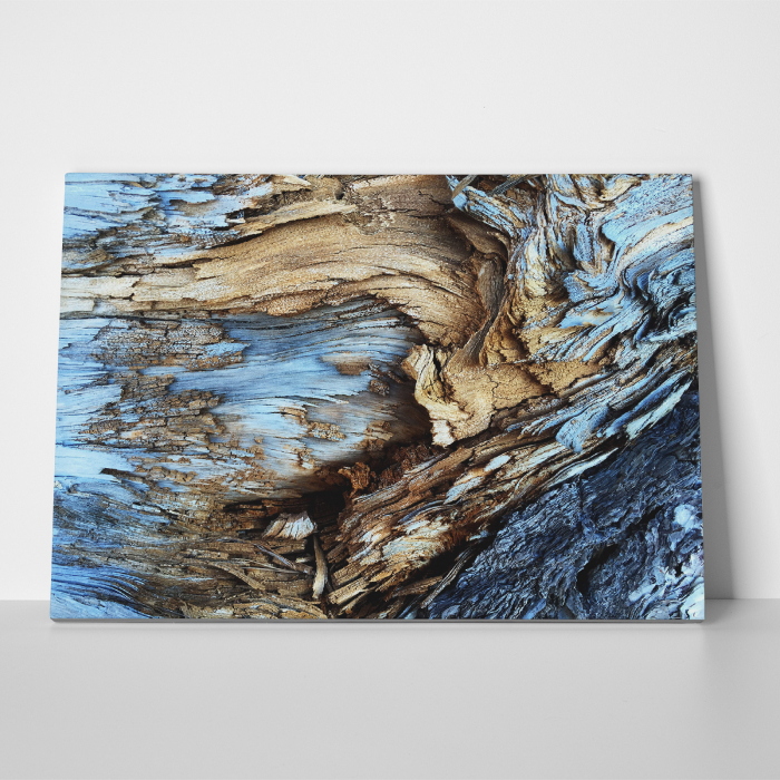 Tablou canvas abstract, Lemn albastrui putrezit [3]