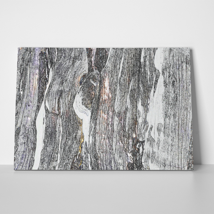 Tablou canvas abstract, Lemn albit [3]
