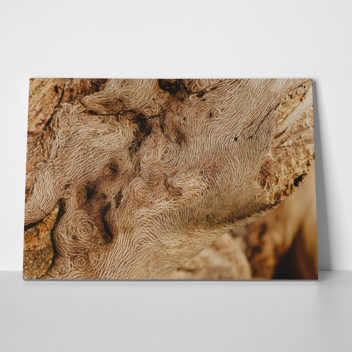 Tablou canvas abstract, Lemn desenat [3]
