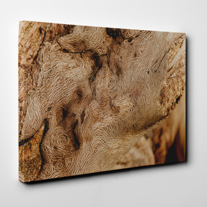 Tablou canvas abstract, Lemn desenat [2]