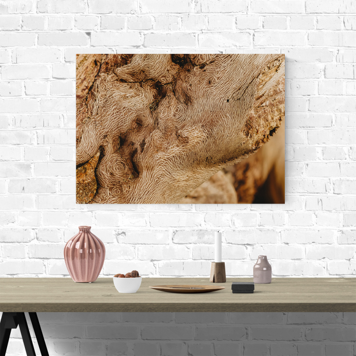 Tablou canvas abstract, Lemn desenat [4]