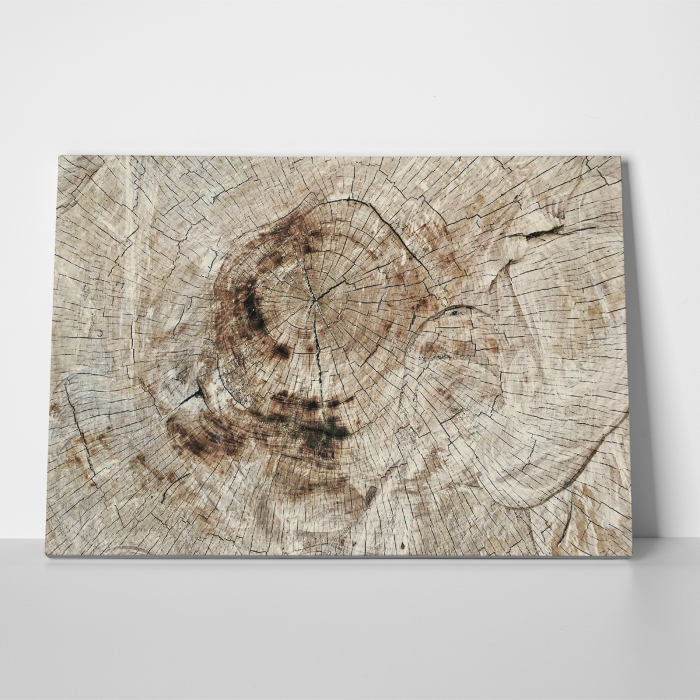 Tablou canvas abstract, Lemn imbatranit [3]