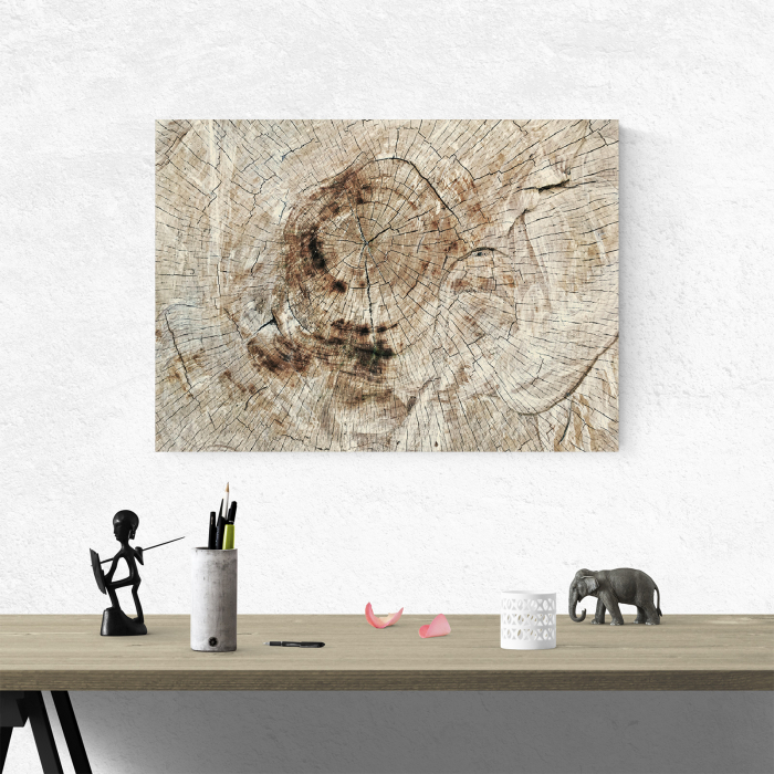 Tablou canvas abstract, Lemn imbatranit [4]
