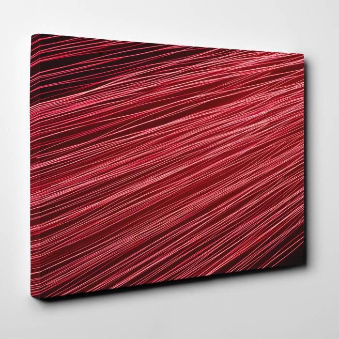Tablou canvas abstract, Linii rosiatice [2]