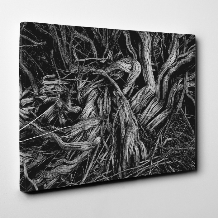 Tablou canvas abstract, O increngatura vegetala [2]