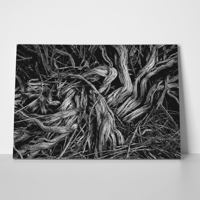Tablou canvas abstract, O increngatura vegetala [3]