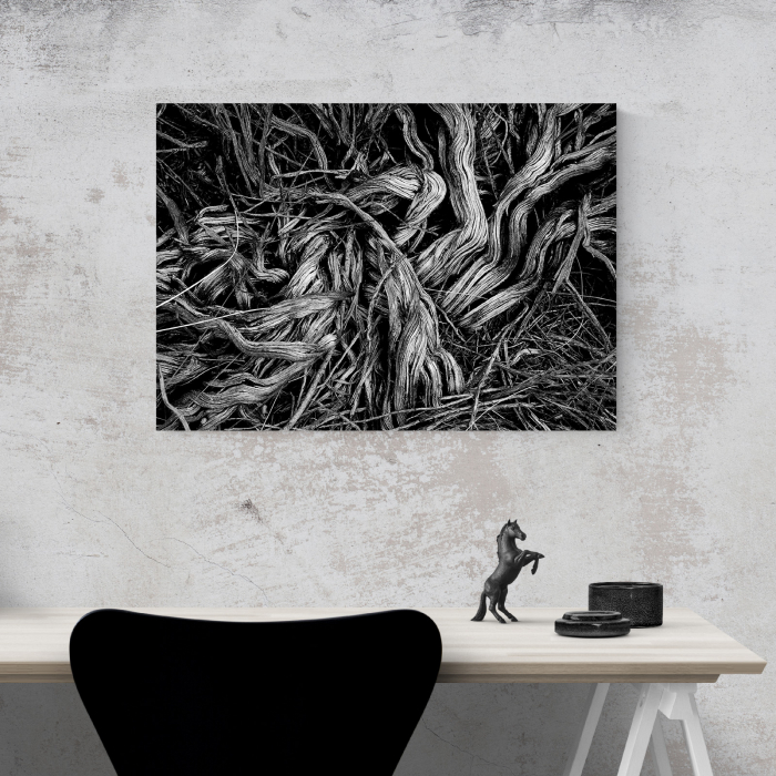 Tablou canvas abstract, O increngatura vegetala [4]
