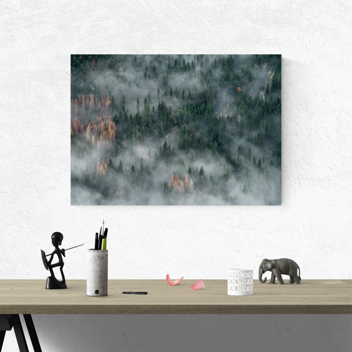 Tablou canvas abstract, Padure de brazi in ceata [4]