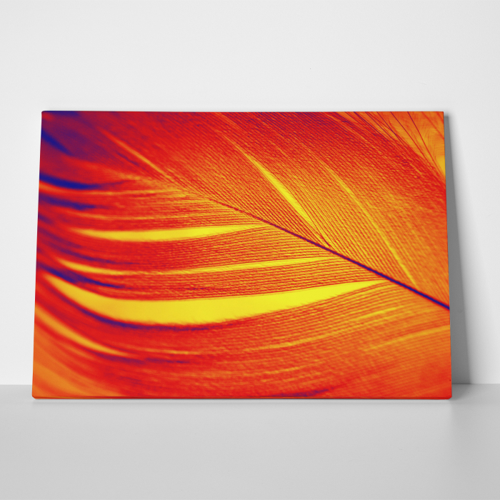 Tablou canvas abstract, Pana rosie [3]