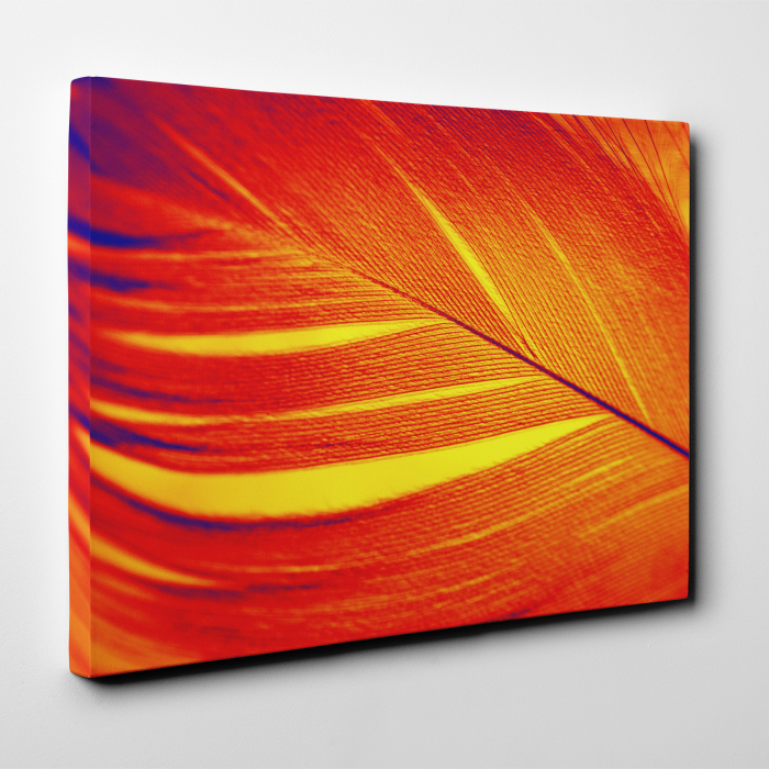 Tablou canvas abstract, Pana rosie [4]