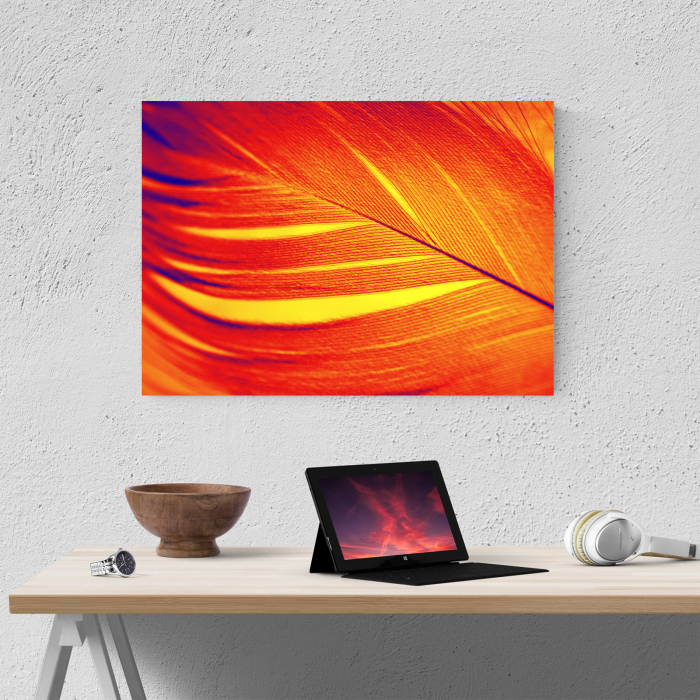 Tablou canvas abstract, Pana rosie [2]