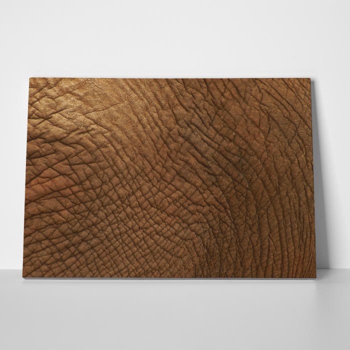 Tablou canvas abstract, Piele de... elefant [3]
