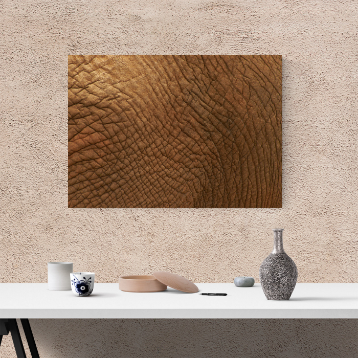 Tablou canvas abstract, Piele de... elefant [4]