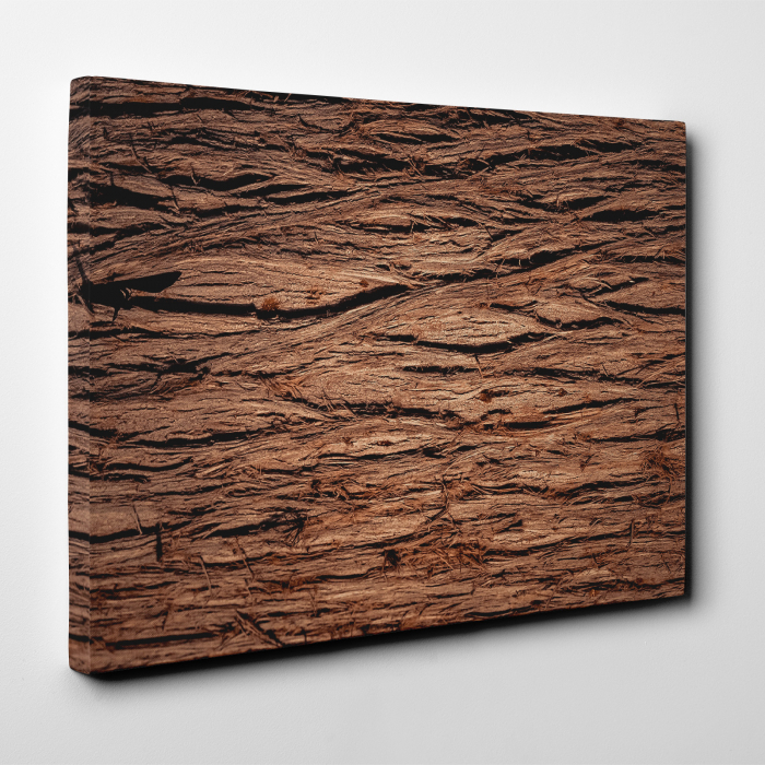 Tablou canvas abstract, Scoarta de copac [2]
