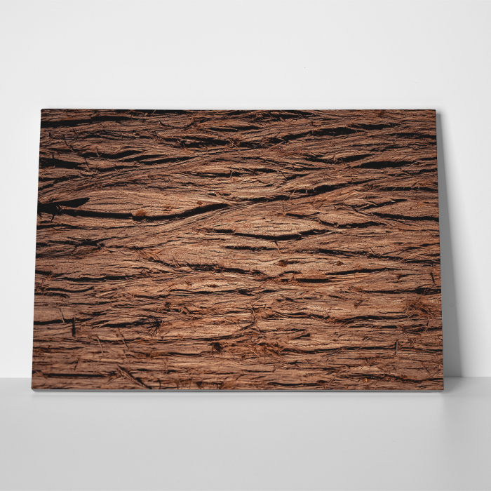 Tablou canvas abstract, Scoarta de copac [3]