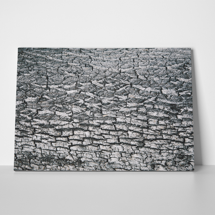 Tablou canvas abstract, Scoarta de copac alb-negru [3]