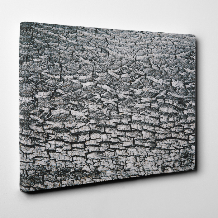 Tablou canvas abstract, Scoarta de copac alb-negru [2]