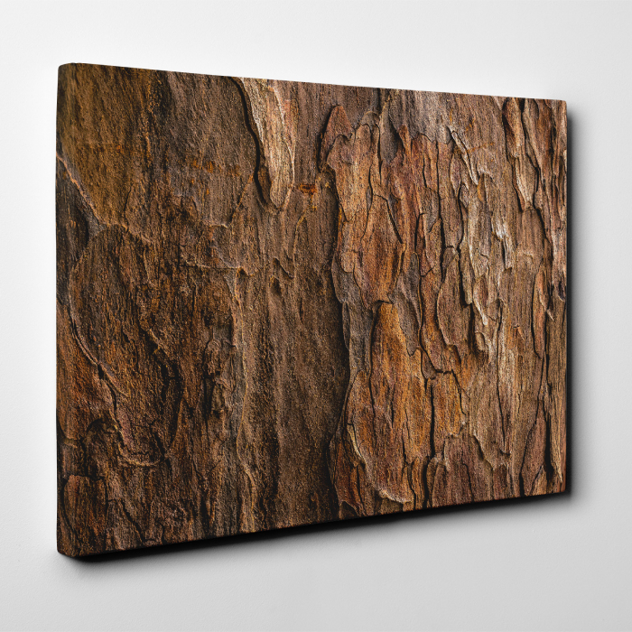 Tablou canvas abstract, Scoarta de copac putrezita [2]