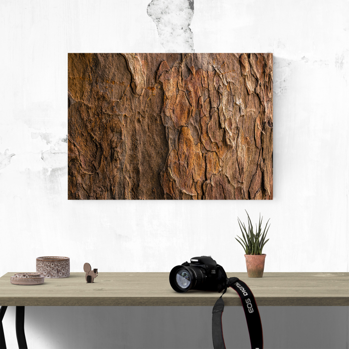 Tablou canvas abstract, Scoarta de copac putrezita [4]